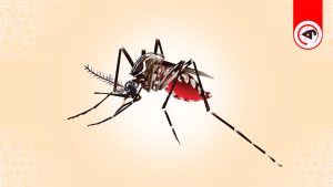 ডেঙ্গুতে এক দিনে ১০ জনের মৃত্যু