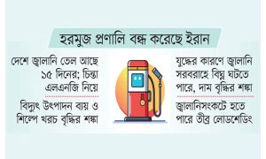 জ্বালানি খাতে অশনিসংকেত