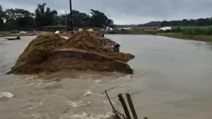 বাঁধ ভেঙে পানি ঢুকছে সুনামগঞ্জের এরনবিল হাওরে