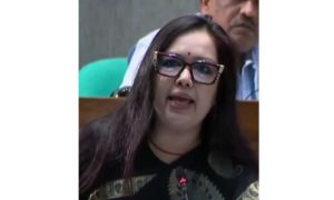 শেয়ারবাজারে টাকা লুটকারীদের বিচার হয়নি: রুমিন ফারহানা