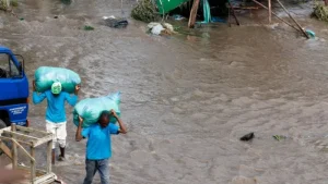 কেনিয়ায় ভারী বর্ষণ ও ভূমিধসে নিহত ১৮