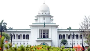 তথ্য গোপন করে প্রধান আসামির জামিন, হাইকোর্টের বেঞ্চ অফিসার সাময়িক বরখাস্ত