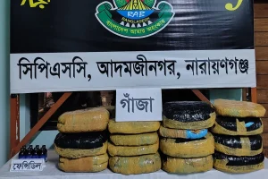 নারায়ণগঞ্জে তিন মণ গাঁজাসহ দুই মাদক ব্যবসায়ী গ্রেফতার