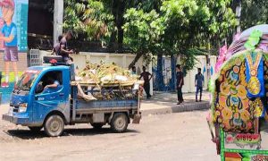 রাজধানীতে চলছে কোরবানির পশুর বর্জ্য অপসারণ