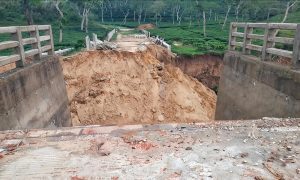হবিগঞ্জে ৩ কোটি টাকার সেতু এখন অকেজো