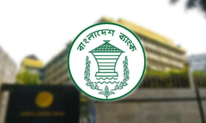 ৯৫ বার পেছাল রিজার্ভ চুরির মামলার প্রতিবেদন