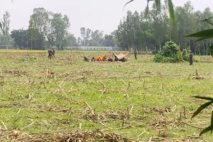 ঠাকুরগাঁও সীমান্তে ৪৮ ঘণ্টার পর শূন্যরেখা থেকে ১১ জনকে সরিয়ে নিয়েছে বিএসএফ